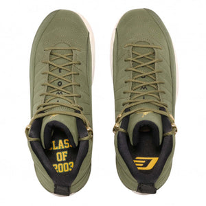 Air Jordan 12 GS Chris Paul Class Of 2003