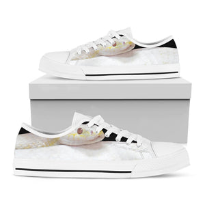 Albino Snake Print White Low Top Sneakers