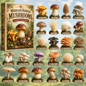 Woodland Harvest Mushrooms Advent Calendar Home Decor Unique Gifts For Friends