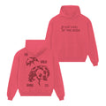 Noah Kahan Merch The Last Of The Bugs Hoodie Ladybug Hoodie Noah Kahan Music Apparel Fan Gift - Gearneko