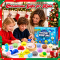 Christmas Mystery Dumpling 2026 Advent Calendar Christmas Countdown Xmas Gift For Ocean Lovers - Gearneko