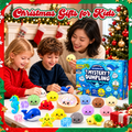 Dumpling Squishy Advent Calendar 24 Days Of Mystery Dumpling Blindbox Xmas Gifts Ideas - Gearneko