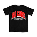 No Cure Merch Birmingham Straight Edge Shirt No Cure Clothes Unique Fans Gifts - Gearneko