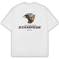Colorado Stampede Merch UFL 500 Level T-Shirt Colorado Stampede Clothing Fan Gifts - Gearneko