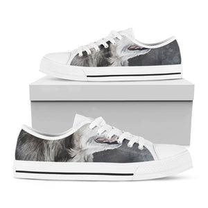 Alaskan Malamute Painting Print White Low Top Sneakers