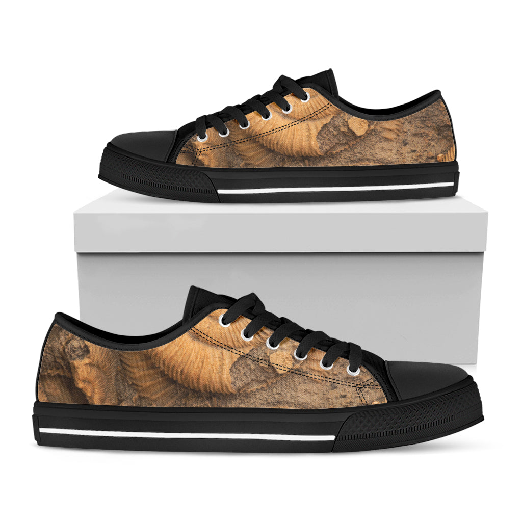 Ammonite Shell Fossil Print Black Low Top Sneakers
