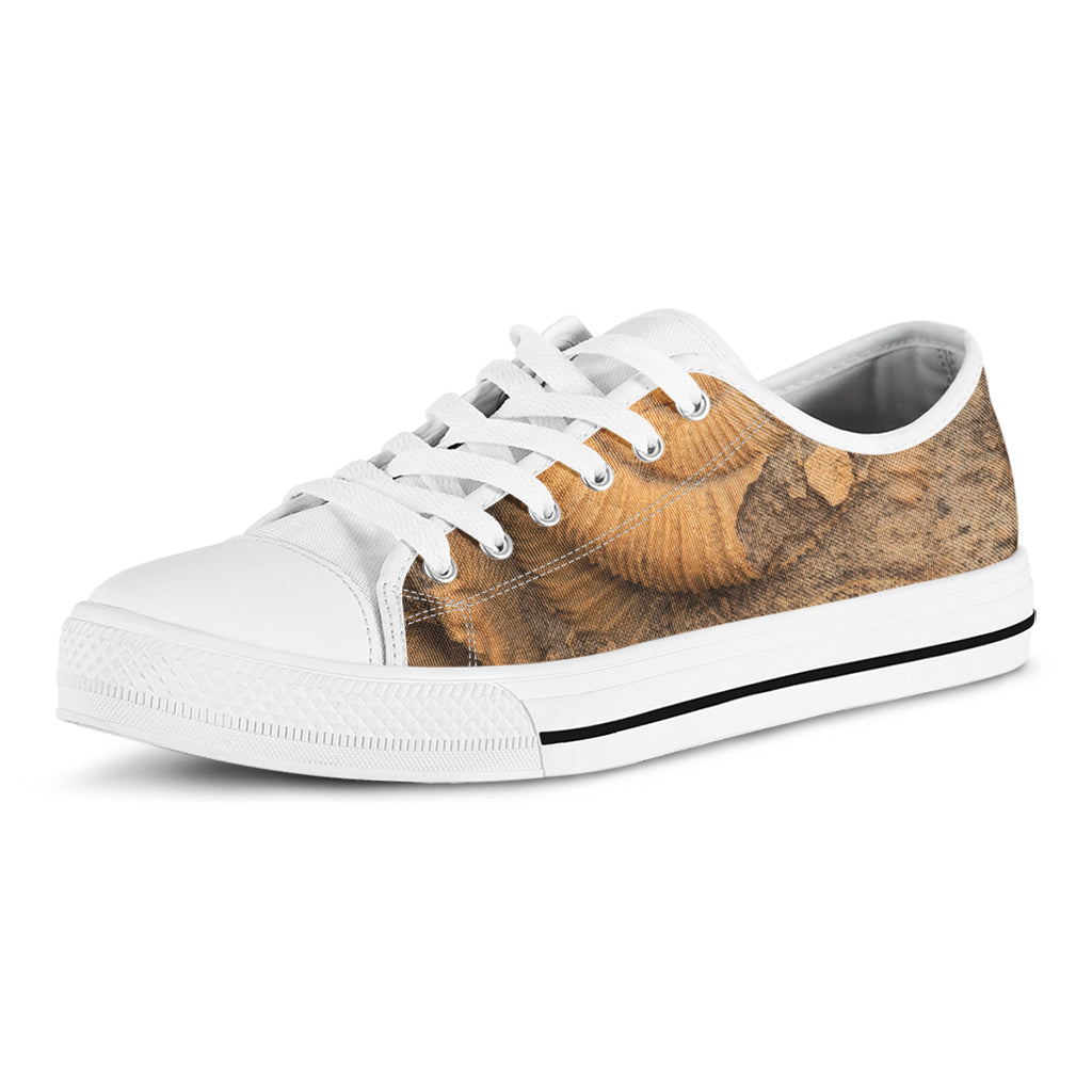 Ammonite Shell Fossil Print White Low Top Sneakers