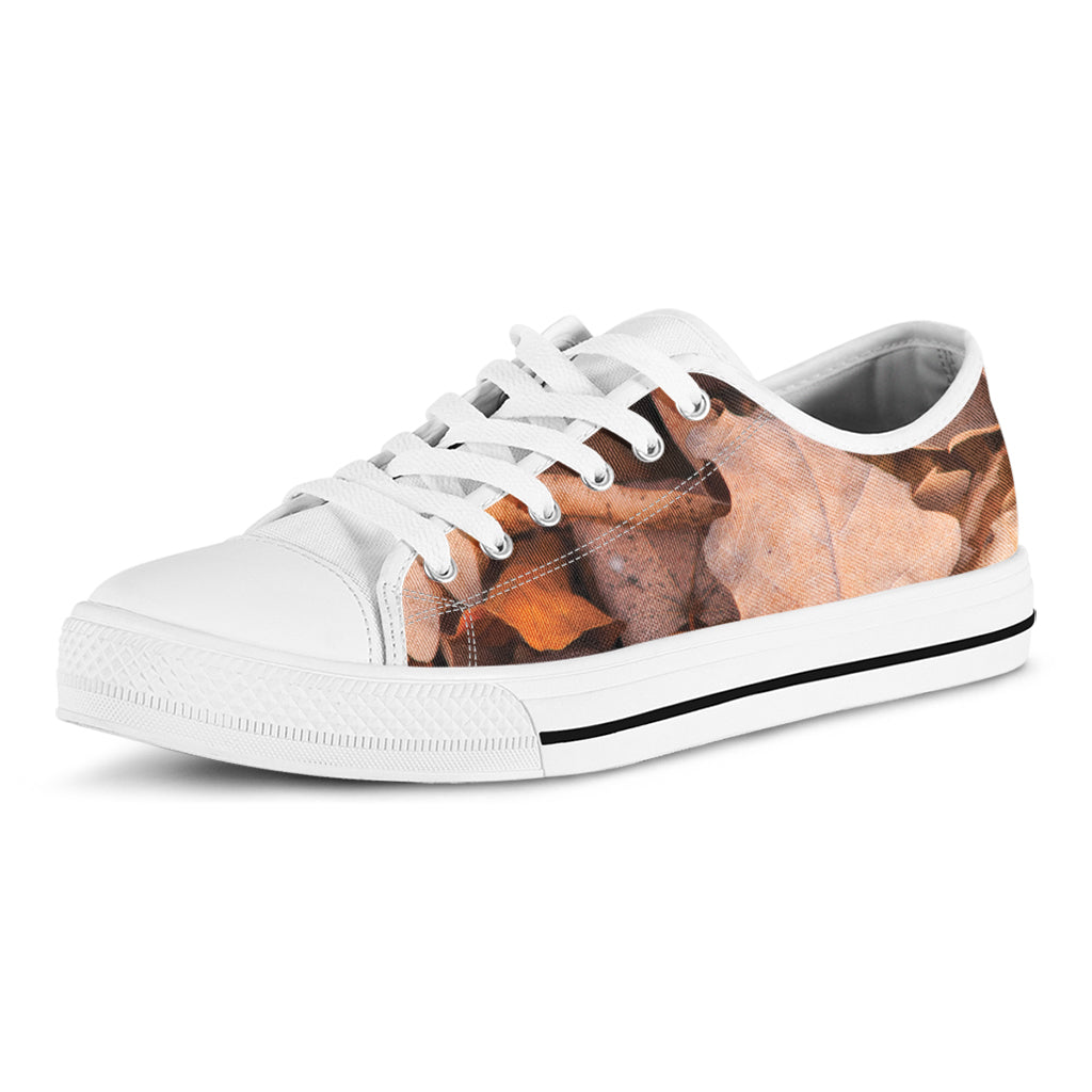 Autumn Oak leaf Print White Low Top Sneakers