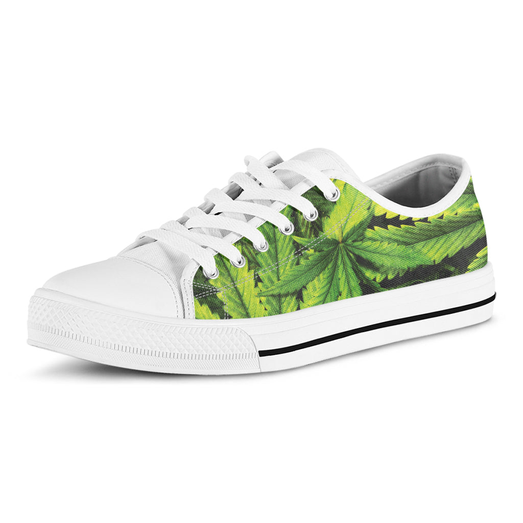 Cannabis Print White Low Top Sneakers