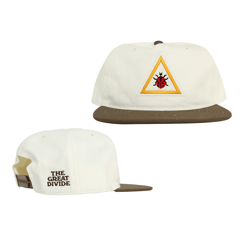 Noah Kahan The Great Divide Snapback Hat Embroidered Ladybug Hat Noah Kahan Tour Merch Fan Gift - Gearneko