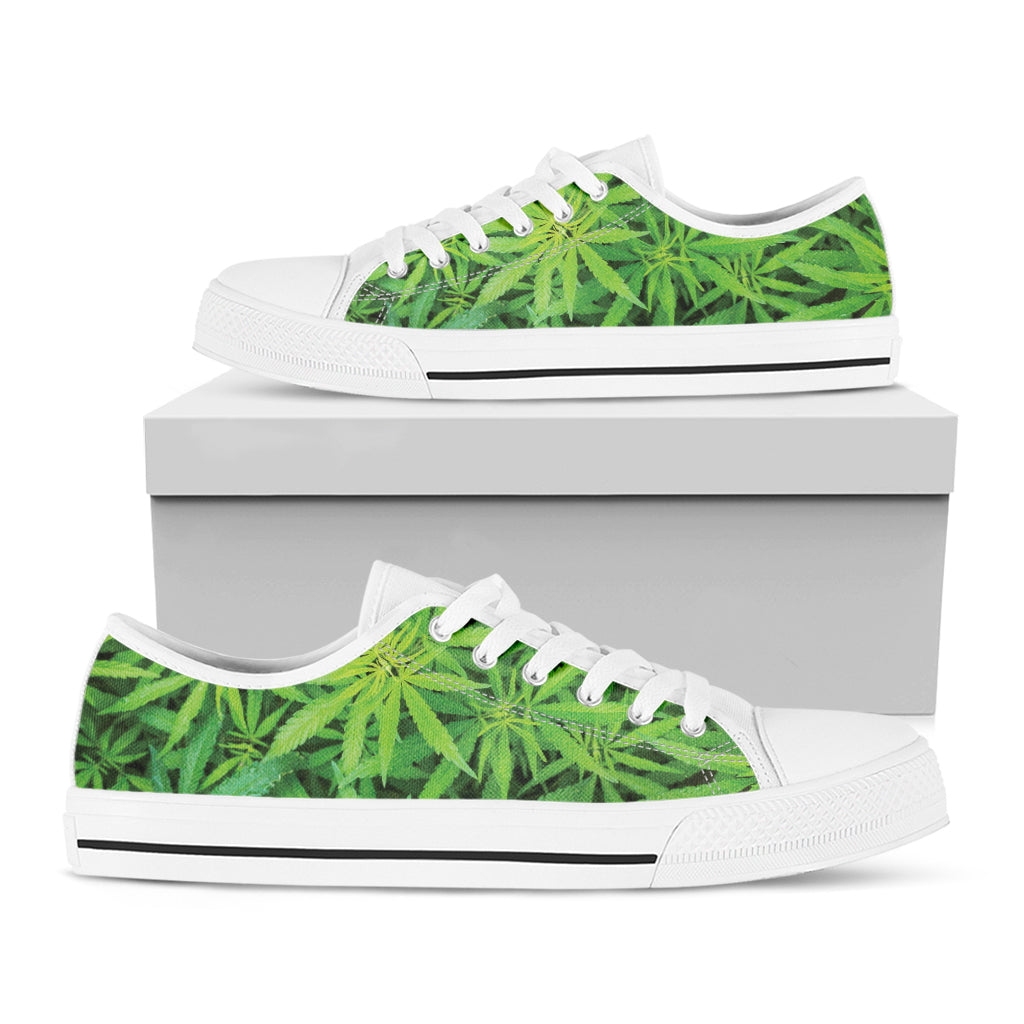 Green Pot Leaf Print White Low Top Sneakers
