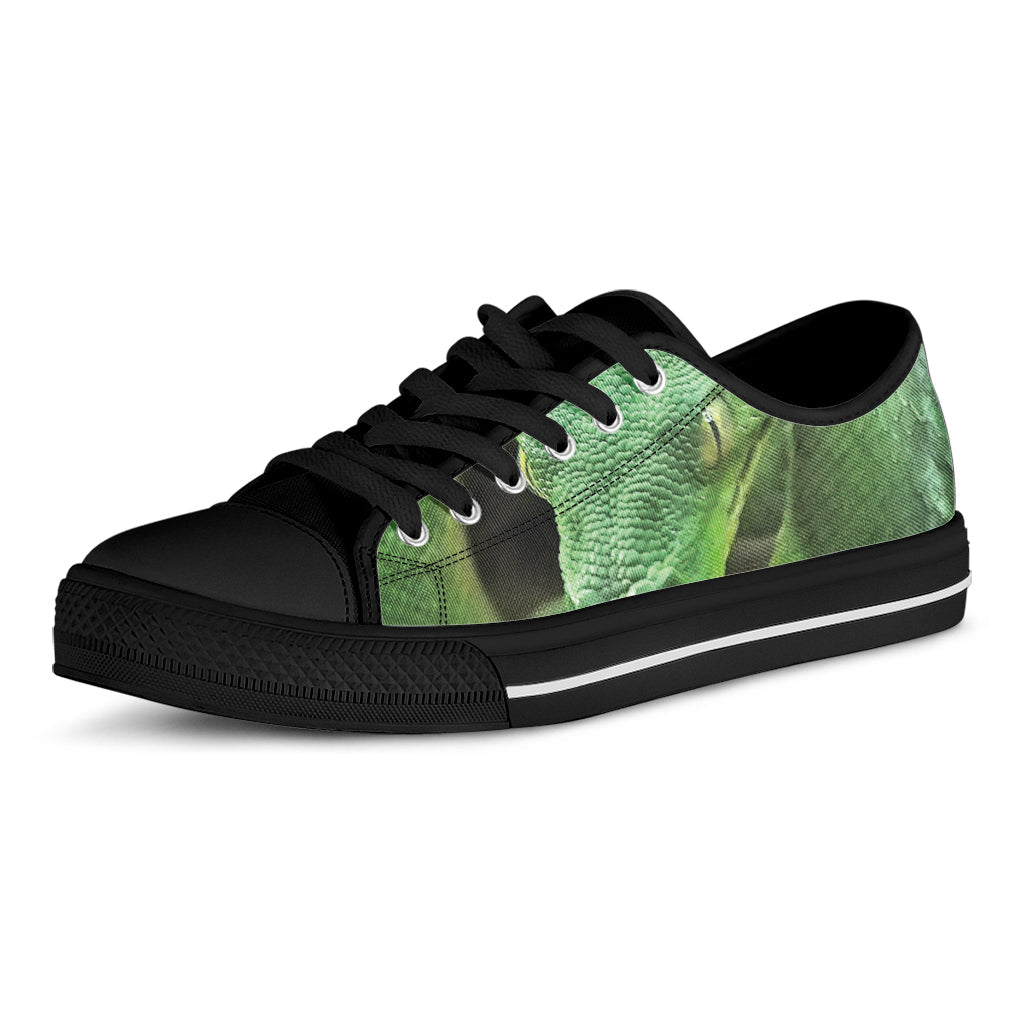 Green Reticulated Python Snake Print Black Low Top Sneakers