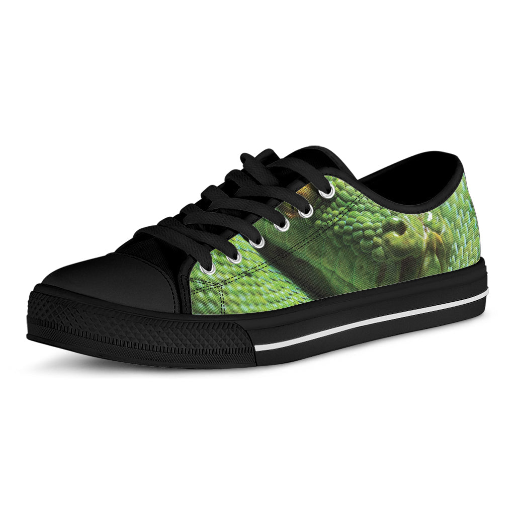Green Tree Python Snake Print Black Low Top Sneakers