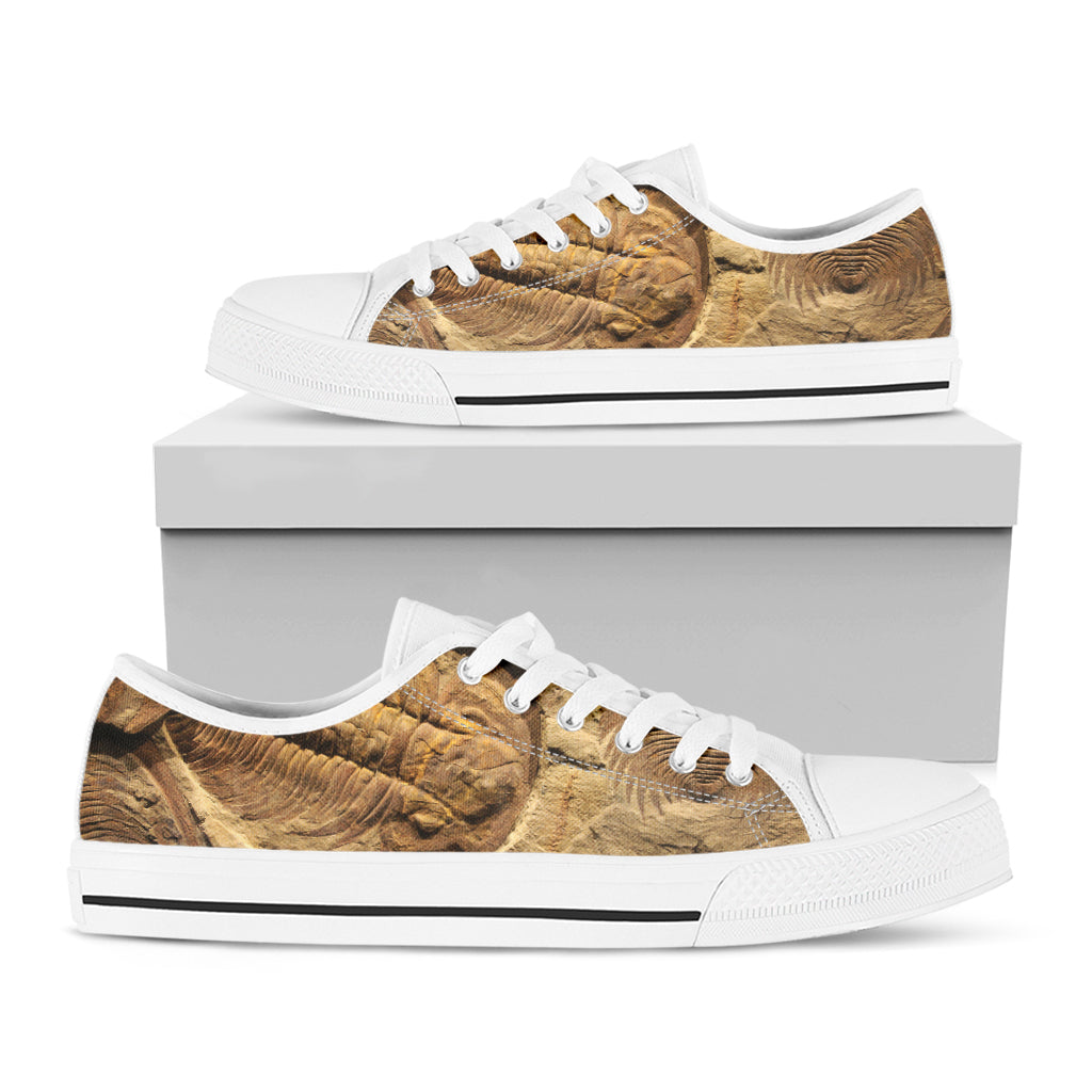 Trilobite Fossil Print White Low Top Sneakers